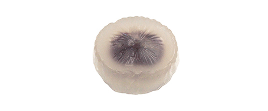 7月の赤坂店限定生菓子販売のお知らせ | お知らせ | 株式会社 虎屋