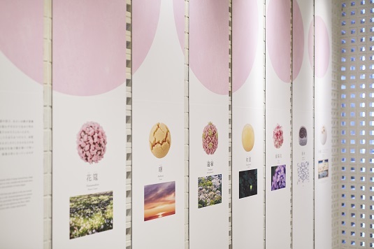 東京ミッドタウン店ギャラリー】第 45 回企画展 ｢和菓子のかたち