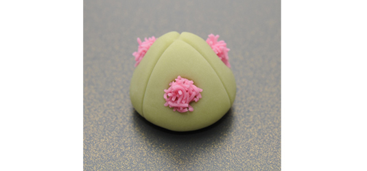 京の伝統と文様 和菓子 美乃美 虎屋 絶版 京の伝統と文様10 京菓子／虎屋 | 美術出版美々美 | nostos