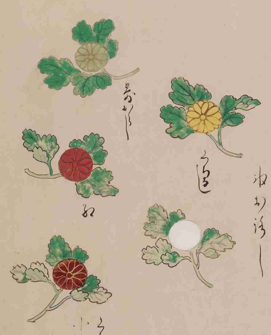 三代目尾上菊五郎と菊の餅 | 歴史上の人物と和菓子 | 菓子資料室 虎屋